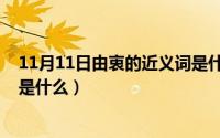 11月11日由衷的近义词是什么词（11月11日由衷的近义词是什么）