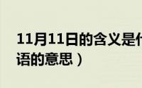 11月11日的含义是什么?（11月11日究竟词语的意思）