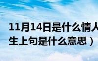 11月14日是什么情人节（11月11日一笑百媚生上句是什么意思）