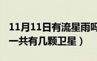 11月11日有流星雨吗（11月11日九大行星中一共有几颗卫星）