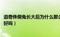 道奇侏儒兔长大后为什么那么凶（10月08日道奇侏儒兔脾气好吗）