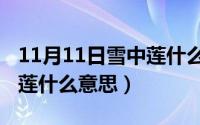 11月11日雪中莲什么意思啊（11月11日雪中莲什么意思）