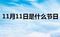 11月11日是什么节日（11月11日战车古称）