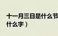 十一月三日是什么节日（11月11日三个龍读什么字）