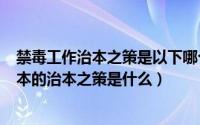 禁毒工作治本之策是以下哪个选项?（11月11日禁毒工作治本的治本之策是什么）