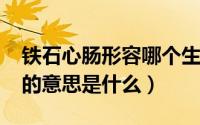 铁石心肠形容哪个生肖（11月11日铁石心肠的意思是什么）