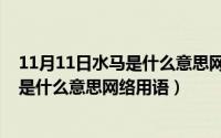 11月11日水马是什么意思网络用语怎么说（11月11日水马是什么意思网络用语）