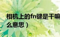 相机上的fn键是干嘛的（11月11日相机fn什么意思）