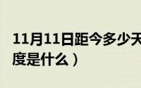 11月11日距今多少天（11月11日经纬度的长度是什么）