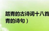 踏青的古诗词十八首（11月11日春季古人踏青的诗句）