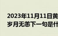 2023年11月11日黄道吉日查询（11月11日岁月无恙下一句是什么）