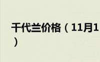 千代兰价格（11月11日千代兰和洋兰的区别）