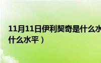 11月11日伊利契奇是什么水平的人（11月11日伊利契奇是什么水平）