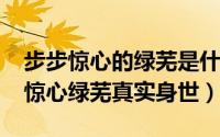 步步惊心的绿芜是什么身份（11月12日步步惊心绿芜真实身世）