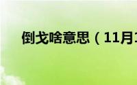 倒戈啥意思（11月12日倒戈什么意思）