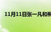 11月11日张一凡和柳红的小说一共多少集