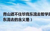 青山遮不住毕竟东流去哲学原理（11月11日青山遮不住毕竟东流去的含义是）