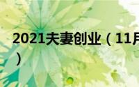 2021夫妻创业（11月11日夫妻创业经验分享）