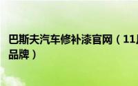 巴斯夫汽车修补漆官网（11月12日巴斯夫汽车漆旗下有几个品牌）