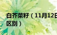 白芥菜籽（11月12日芥菜子和白芥子有什么区别）