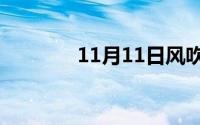 11月11日风吹半夏周茜介绍