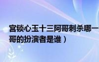 宫锁心玉十三阿哥刺杀哪一集（11月12日宫锁心玉中13阿哥的扮演者是谁）