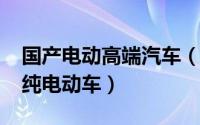 国产电动高端汽车（11月11日十大高端国产纯电动车）