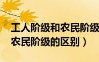 工人阶级和农民阶级（11月11日工人阶级与农民阶级的区别）