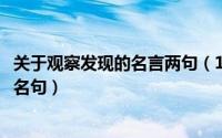 关于观察发现的名言两句（10月08日关于观察与发现的名言名句）