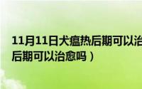 11月11日犬瘟热后期可以治愈吗为什么（11月11日犬瘟热后期可以治愈吗）