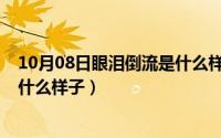 10月08日眼泪倒流是什么样子图片（10月08日眼泪倒流是什么样子）