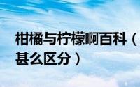 柑橘与柠檬啊百科（11月11日柠檬和柑桔有甚么区分）