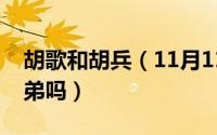 胡歌和胡兵（11月11日胡歌胡兵胡军是亲兄弟吗）