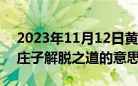 2023年11月12日黄历吉日查询（11月12日庄子解脱之道的意思）