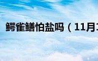 鳄雀鳝怕盐吗（11月11日鳄雀鳝怕什么鱼）