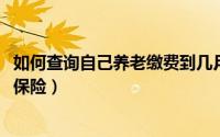 如何查询自己养老缴费到几月（11月12日怎样查询个人养老保险）