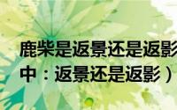 鹿柴是返景还是返影（11月12日王维诗鹿柴中：返景还是返影）