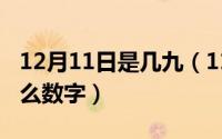 12月11日是几九（11月12日九死一生代表什么数字）