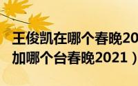 王俊凯在哪个春晚2021（11月12日王俊凯参加哪个台春晚2021）