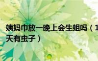 姨妈巾放一晚上会生蛆吗（11月12日为什么姨妈巾放了一两天有虫子）