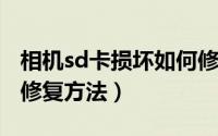 相机sd卡损坏如何修复（11月12日相机sd卡修复方法）