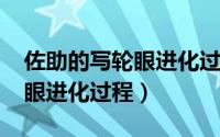 佐助的写轮眼进化过程（11月12日佐助写轮眼进化过程）