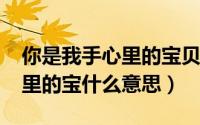 你是我手心里的宝贝（10月08日你是我手心里的宝什么意思）