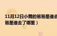 11月12日小舞的爸爸是谁去了哪里呢（11月12日小舞的爸爸是谁去了哪里）