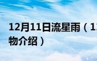 12月11日流星雨（11月12日流光系列小说人物介绍）