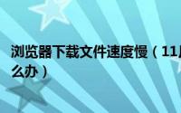 浏览器下载文件速度慢（11月12日电脑浏览器下载速度慢怎么办）