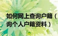 如何网上查询户籍（11月12日怎么在网上查询个人户籍资料）