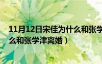 11月12日宋佳为什么和张学津离婚了（11月12日宋佳为什么和张学津离婚）