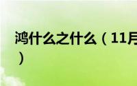 鸿什么之什么（11月12日鸿什么之制的成语）