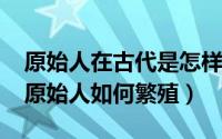 原始人在古代是怎样生活的（11月13日古代原始人如何繁殖）